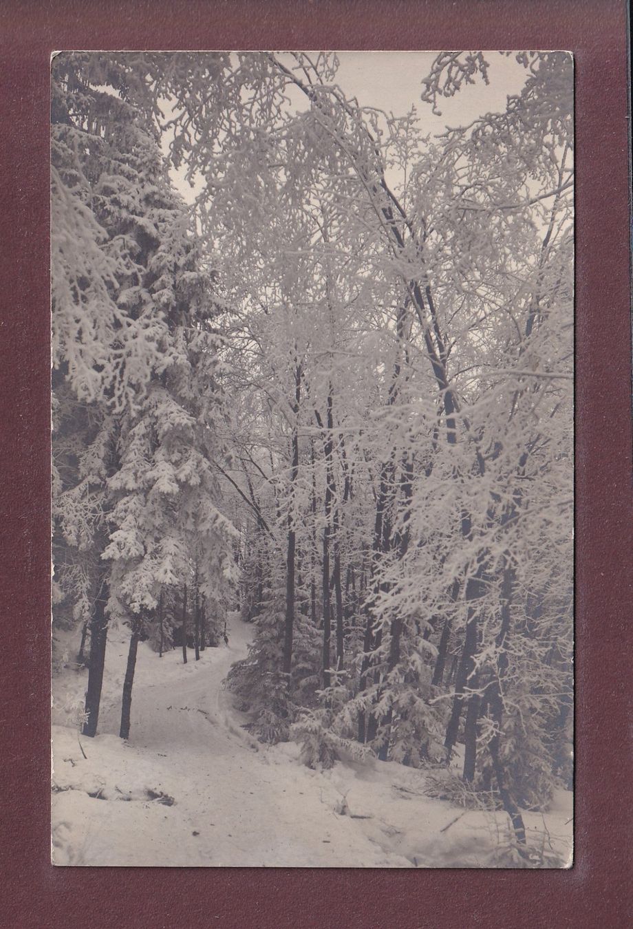 Cartes postales: WINTERLANDSCHAFT - E. Gyger - 1916 – D'occasion à Pully par nicecards