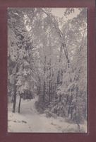 WINTERLANDSCHAFT - E. Gyger - 1916