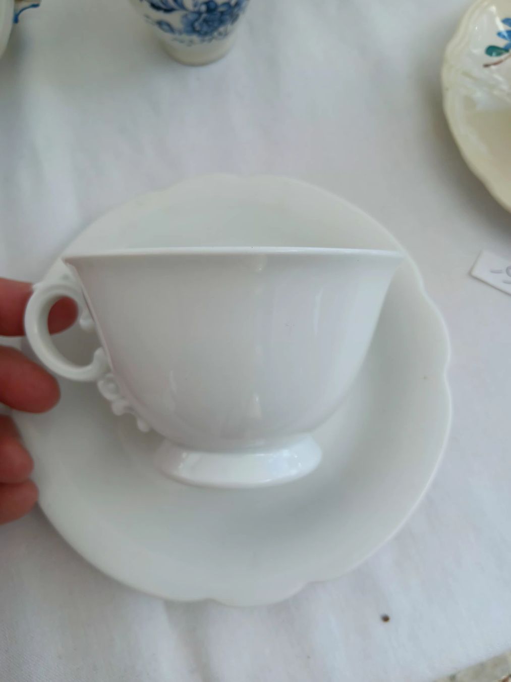 Rosenthal Tazze: Rosenthal tasse – Usato da Ambrì venduto da Maerz87 1