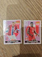 Panini Extra Sticker Haaland Davies