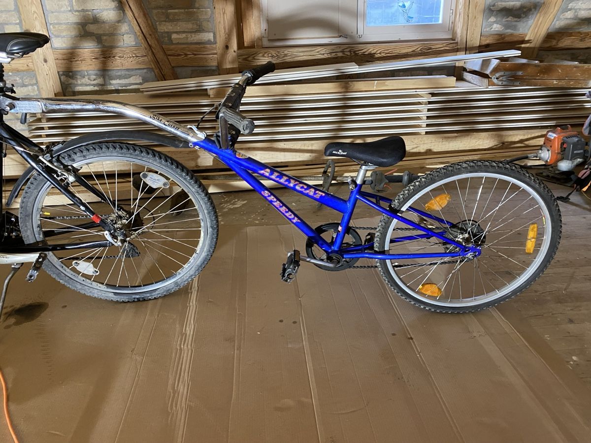 Biciclette: Kinderfahrrad/ Anhänger – Usato da Nussbaumen TG venduto da dan_d2s2