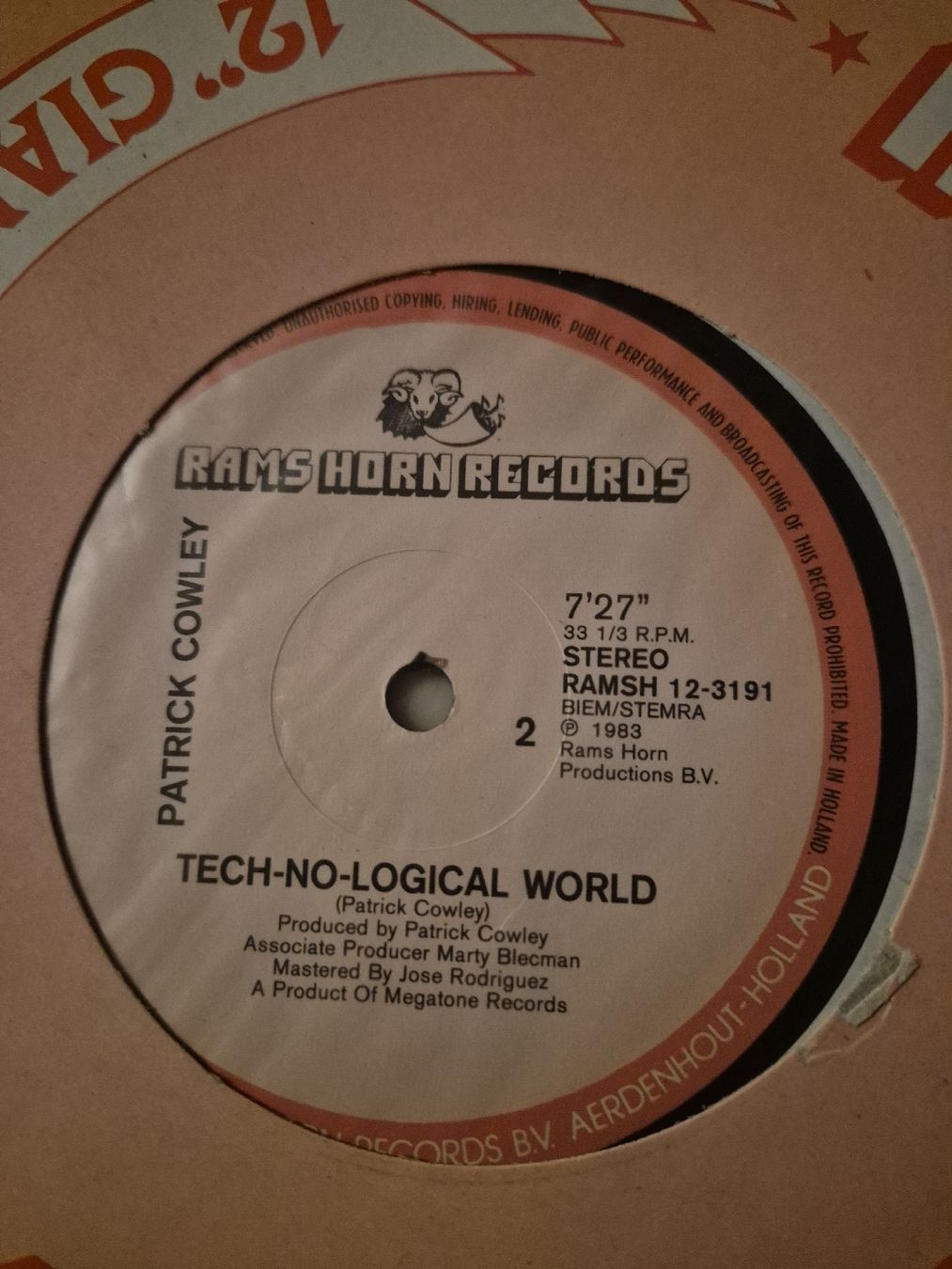 Dischi in vinile: Patrick Cowley - Tech-no-logical World 12" Single, 1983 – Usato da Grandval venduto da JeroenK 2