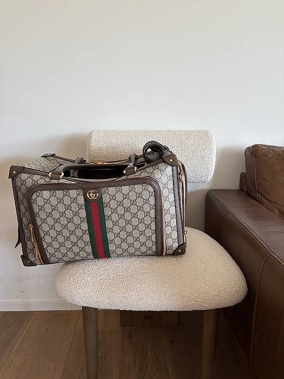 Borse: Gucci Hunde-Katzentasche neuwertig – Usato da Unterägeri venduto da mar_96hk 4
