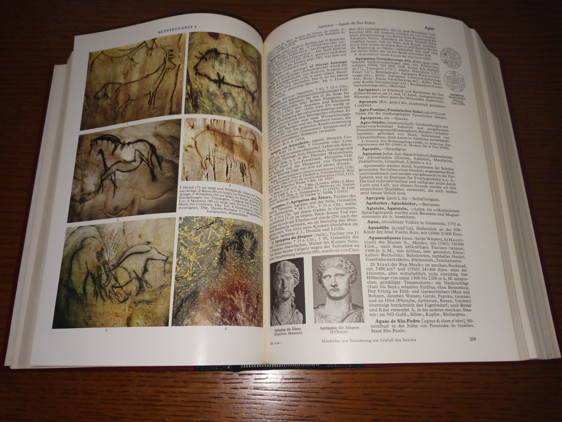 Libri: Enzyklopädie Brockhaus – Usato da Knonau venduto da Che01 2