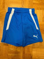 Puma Fussball Shorts Sporthose Gr. 140 blau
