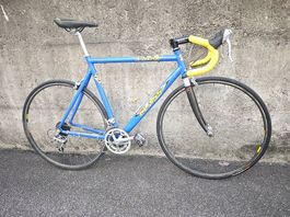 Rennvelo velo bike 56 cm 28 zoll