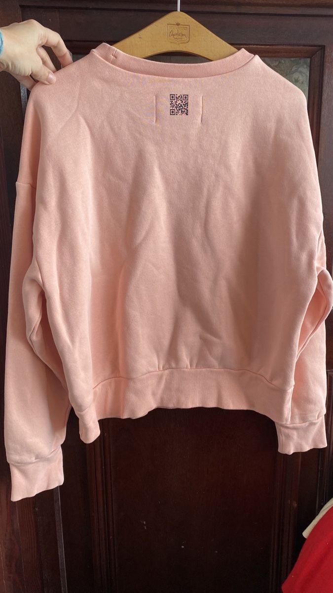 Champion Pulls & Sweat-shirts: Champion Sweatshirt Oberteil – D'occasion à Obfelden par tan_9lj9 2