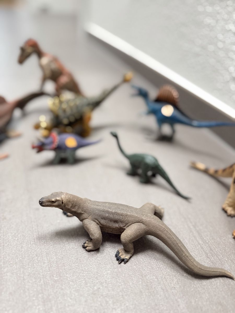 Schleich Statuette: Dinosaurier Schleich  Tieren set  – Usato da Goldau venduto da mira221 5