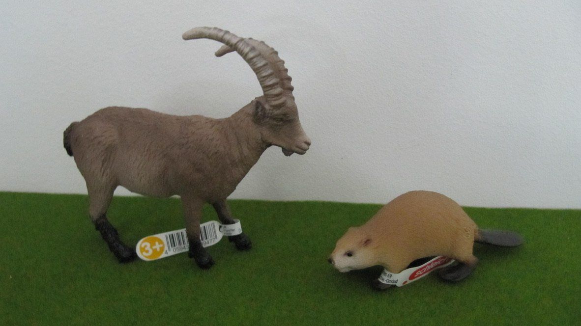 Spielzeuge: Schleich  Steinbock und Biber, neuwertig – Neu (gemäss Beschreibung) aus Brunnen von Kiwiland1