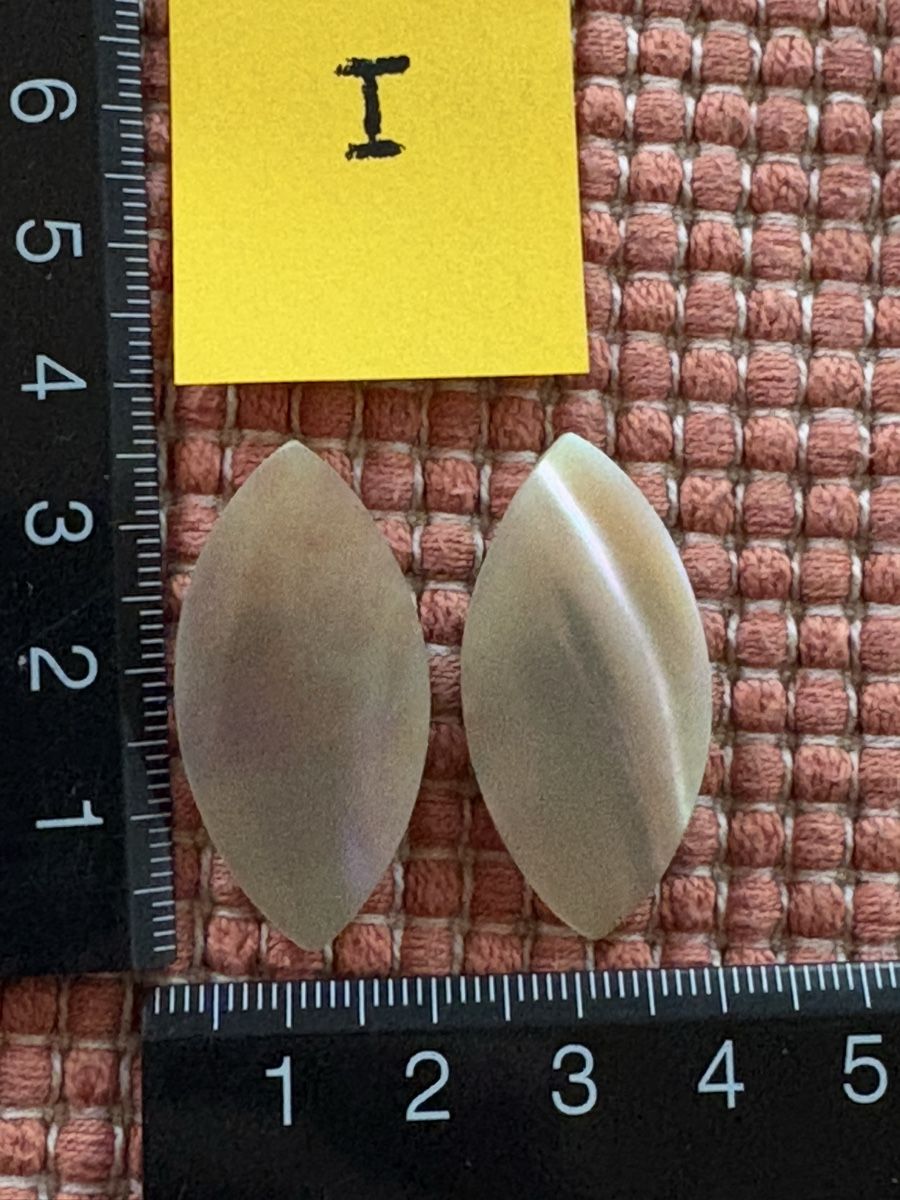 Ohrringe & -stecker: Ohrring Ohrklipp mit Perlmutt – Gebraucht aus Rümlang von euqinom16