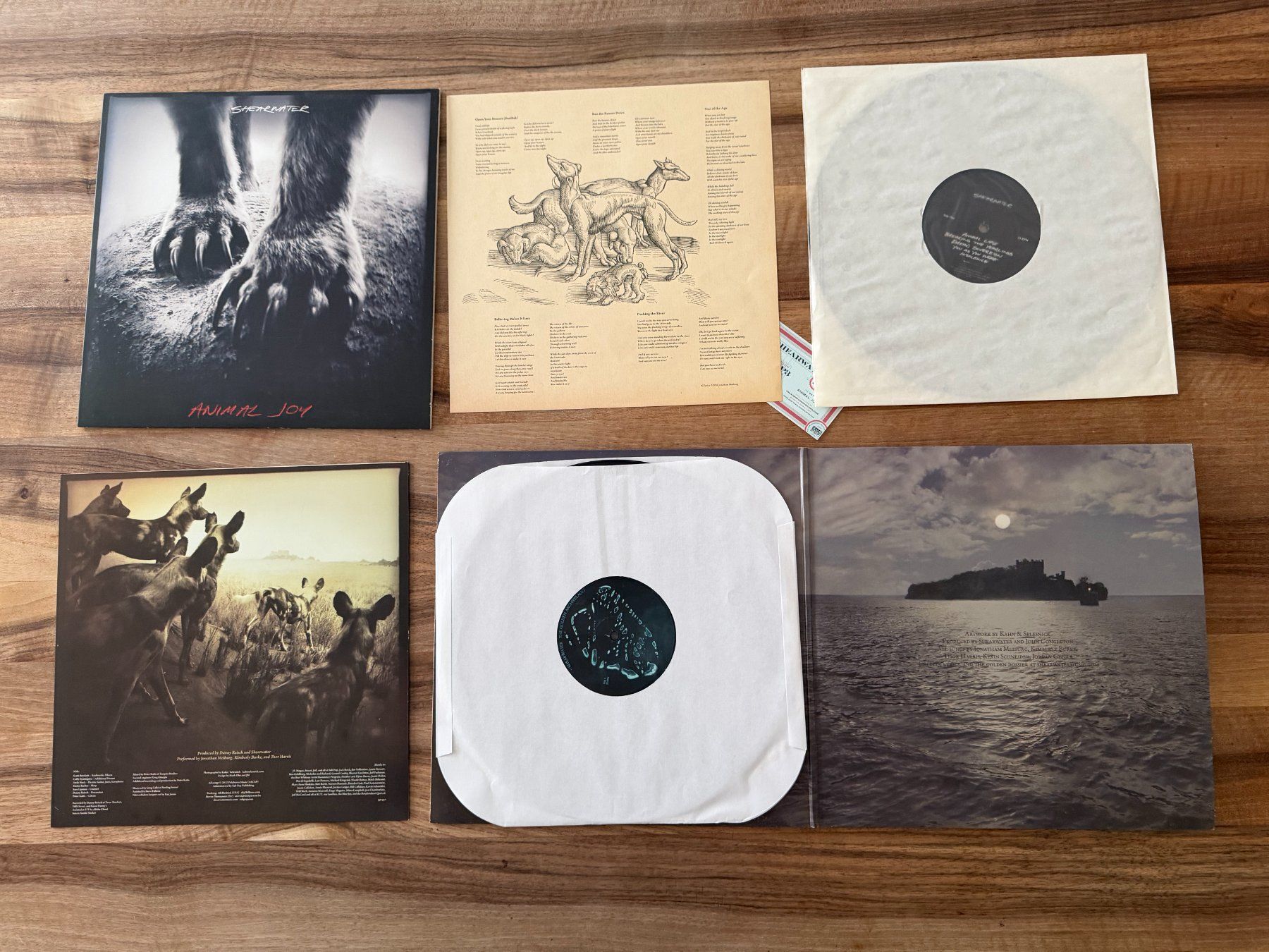 Dischi in vinile: Shearwater, 2 LPs - Indie Rock – Usato da Liebefeld venduto da pearldiver 2