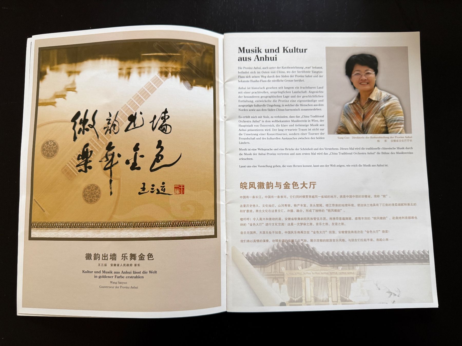 Riviste & Magazine: Das Grosse Chinesische Neujahrskonzert 2009 Programmheft – Usato da Erstfeld venduto da Uhu1980 2