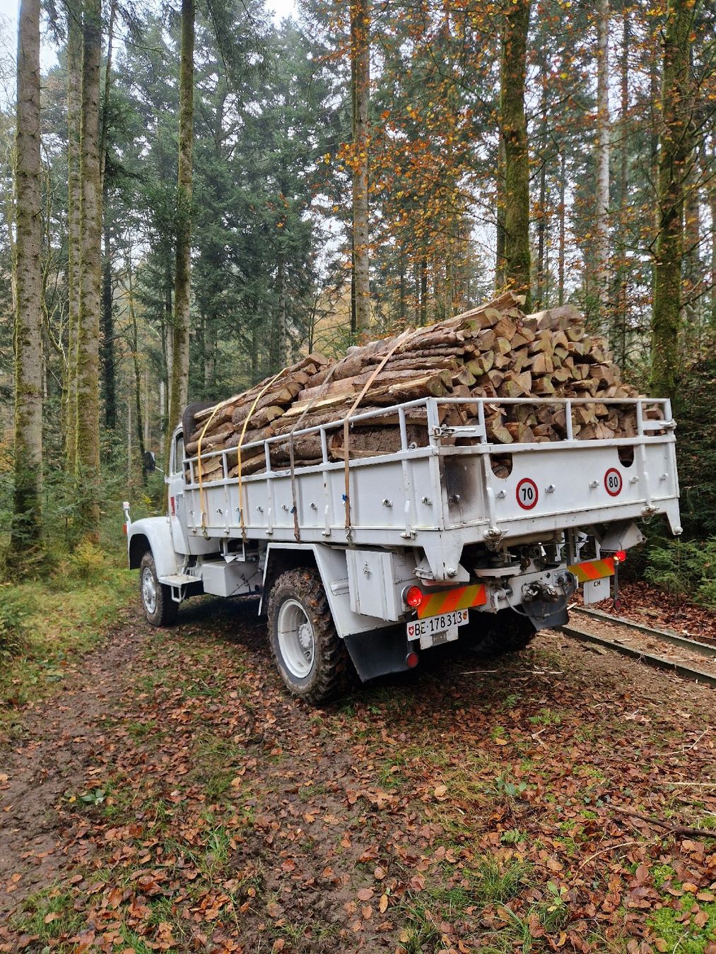 Saurer 2DM (Gebraucht) in Bannwil für CHF 5000 – nur Abholung auf ...