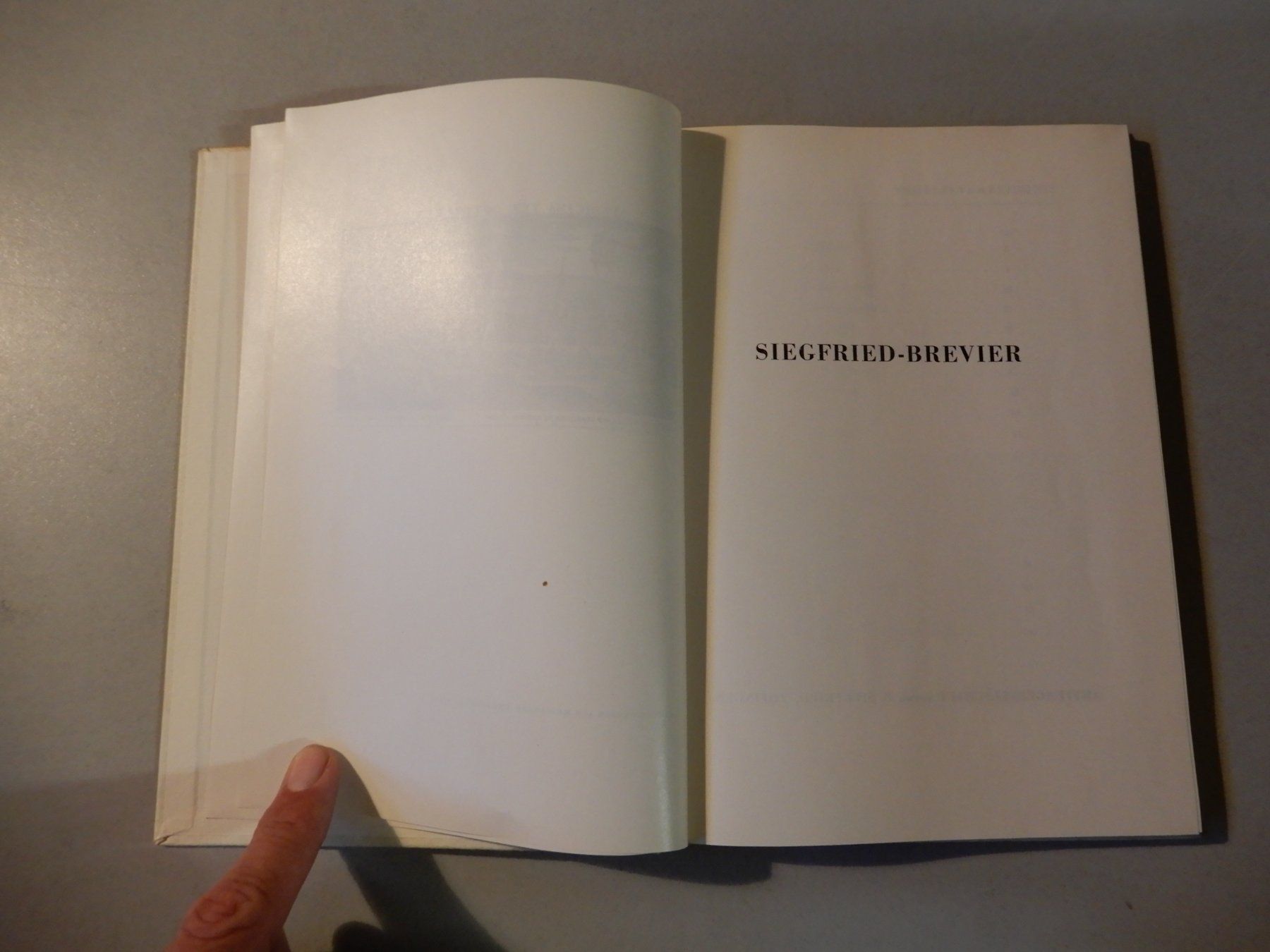 Libri: Antikes Buch "Siegfried" mit seltenen Illustrationen, Sam... – Usato da Erstfeld venduto da Mario_boe0 2