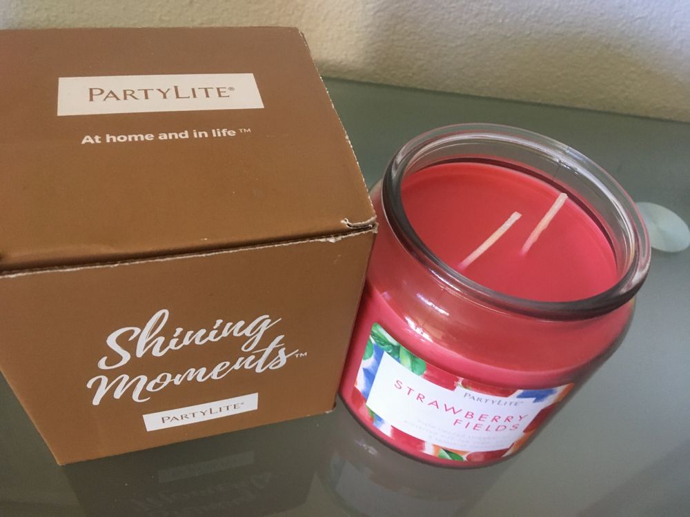 🐢 Lot De 2 Bougeoirs PartyLite – Tortues – Thème Safari – État D’occasion