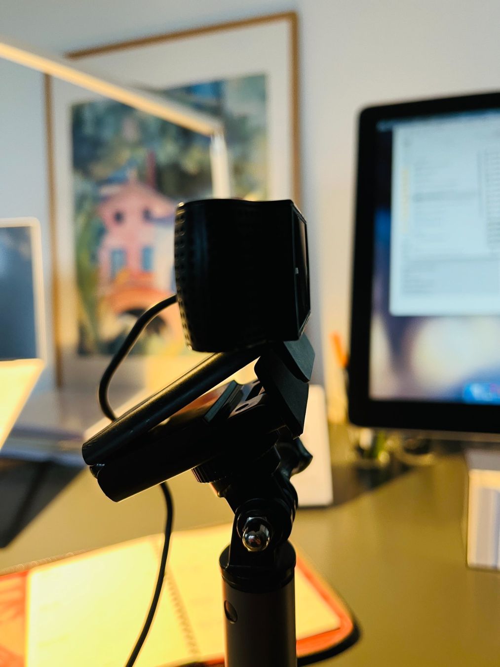 Logitech Webcam: Logitech HD 1080p Webcam – Usato da Luzern venduto da hildesandra 3