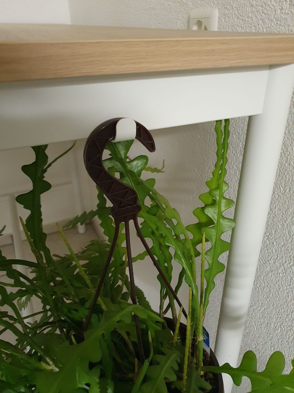 Ikea Tavoli: Tisch weiss mit Eichenfurnierplatte – Usato da Schafisheim venduto da metlaeufer 3