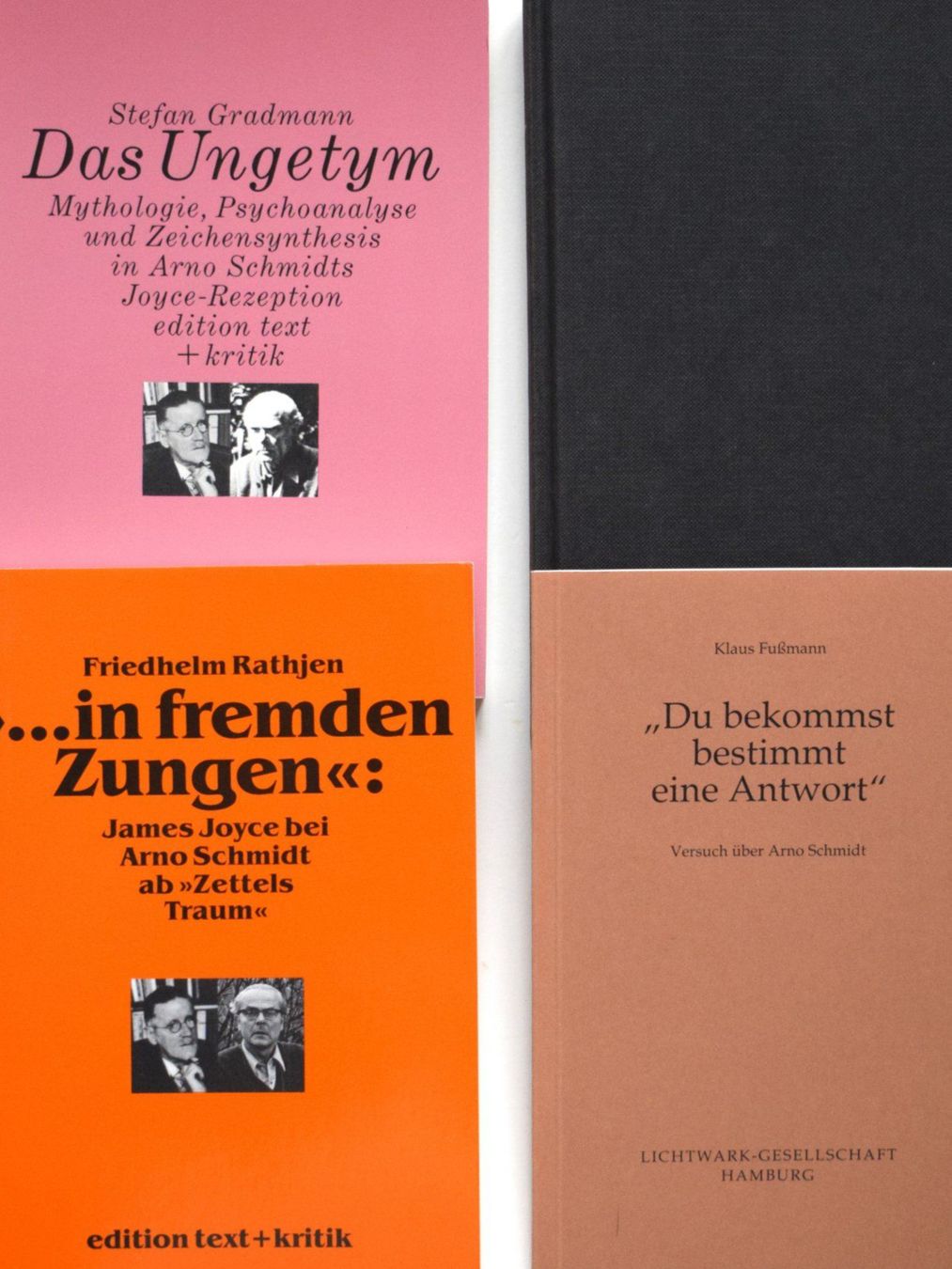 Libri: Arno Schmidt LOT James Joyce Porträt Critical Study – Usato da Dulliken venduto da ichwettichhett