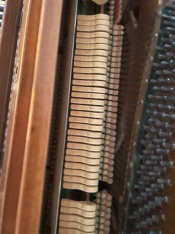 Strumenti musicali: Sabel Rorschach Piano abzugeben | Ebenerdig – Usato da Biel/Bienne venduto da soulvibe73 2