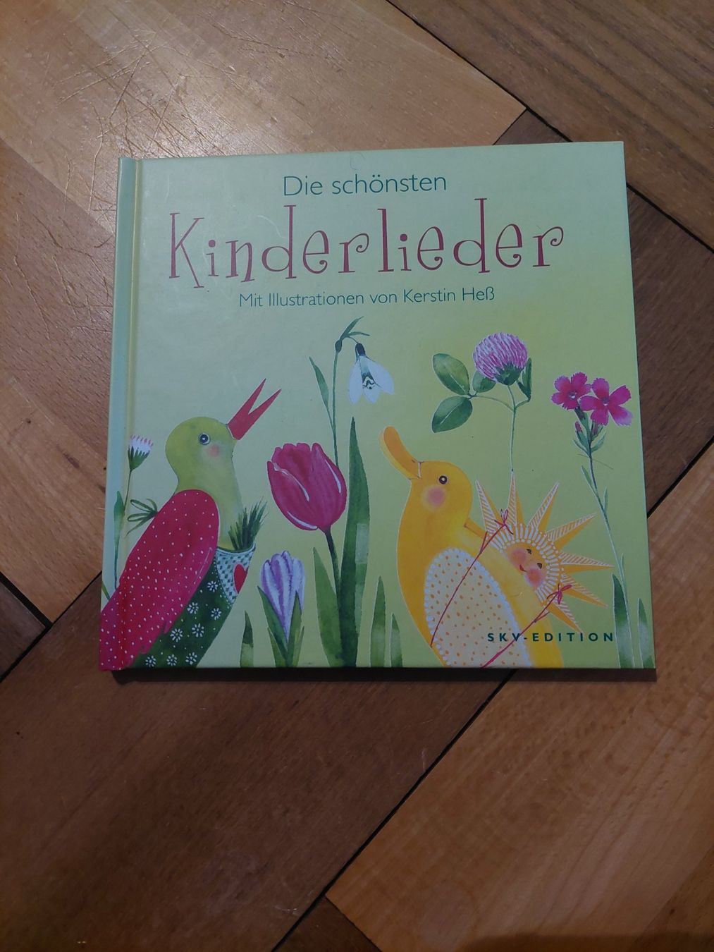 Libri: Geschenkbuch Kinderlieder von Kerstin Hess, SKV-Edition – Nuovo (secondo la descrizione) da Beckenried venduto da Havacola 2
