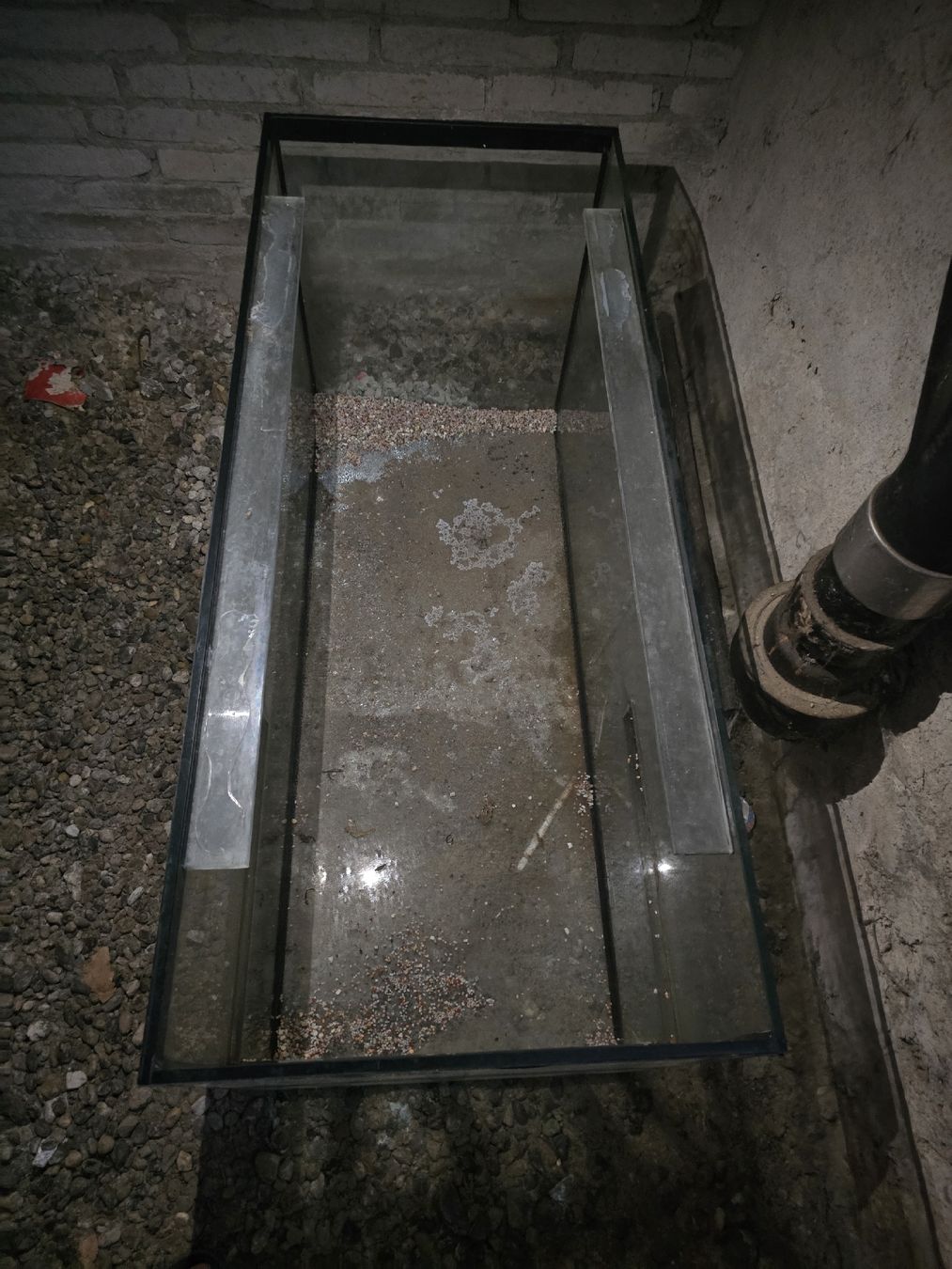 Acquari: Aquarium/Glass Terrarium – Usato da Zürich venduto da jjr_62ng 3