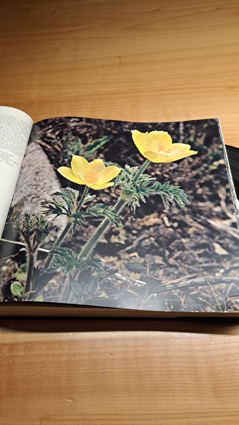Bücher: Buch  URI LAND AM GOTTHARD – Gebraucht aus Schattdorf von quota1000 8