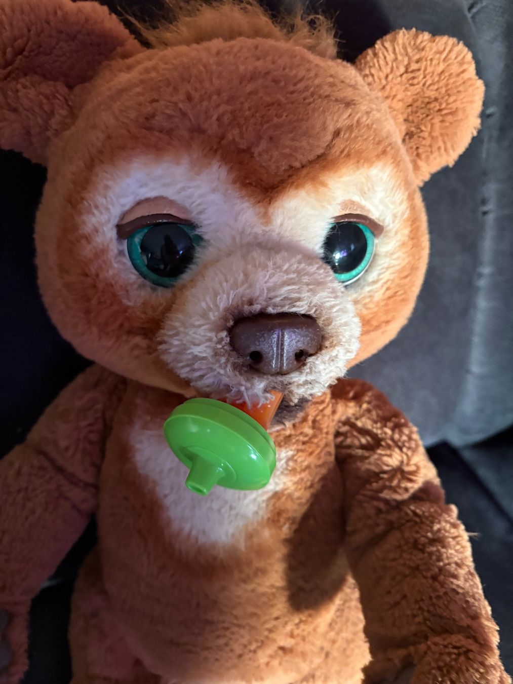 Giocattoli: Interaktiver Teddybär wo sich bewegt – Usato da Schübelbach venduto da S1CH 1