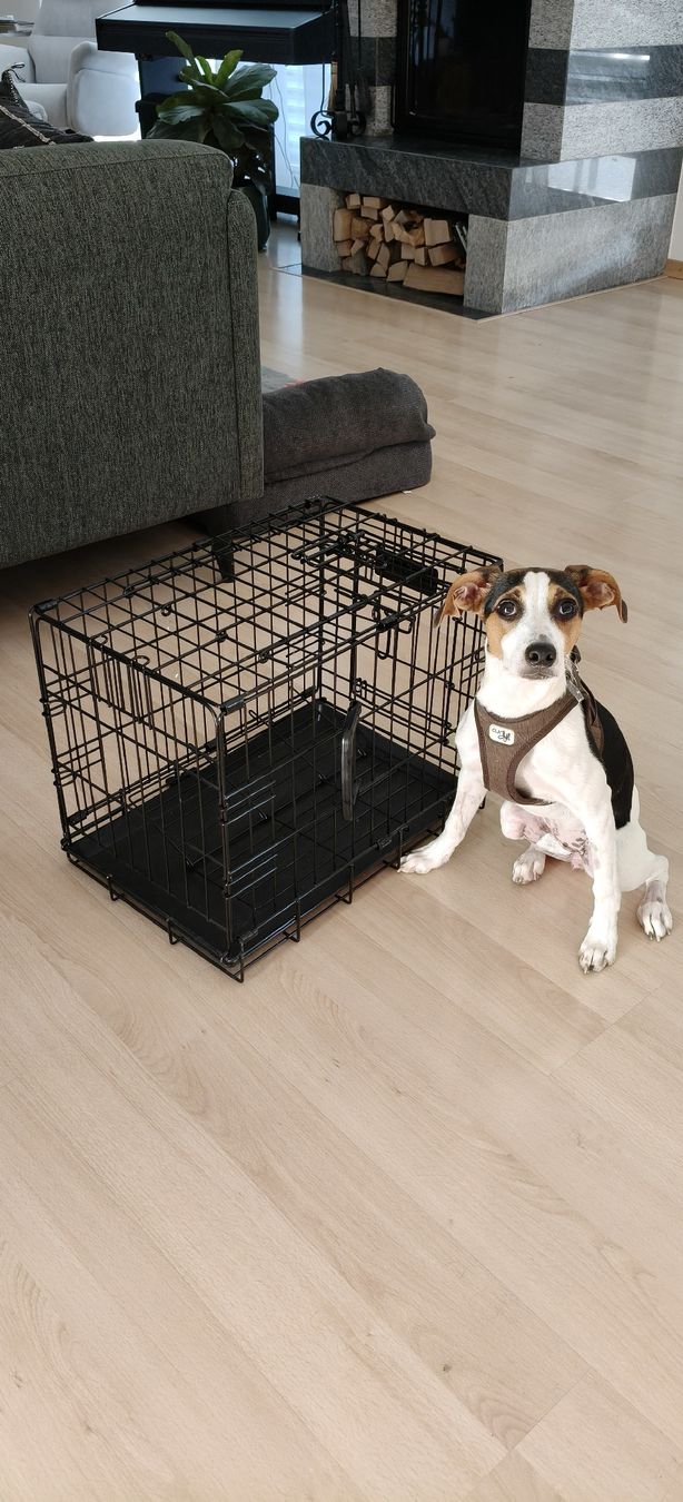 Cages, transport & sécurité: Petmate dog crate black - good condition – D'occasion à Baar par pip_5ktt 3