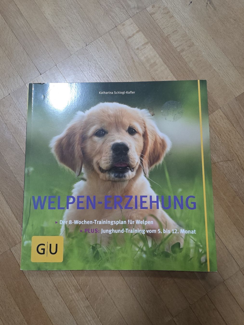 Libri: WELPEN-ERZIEHUNG Buch – Usato da Hombrechtikon venduto da moonwaterqueen