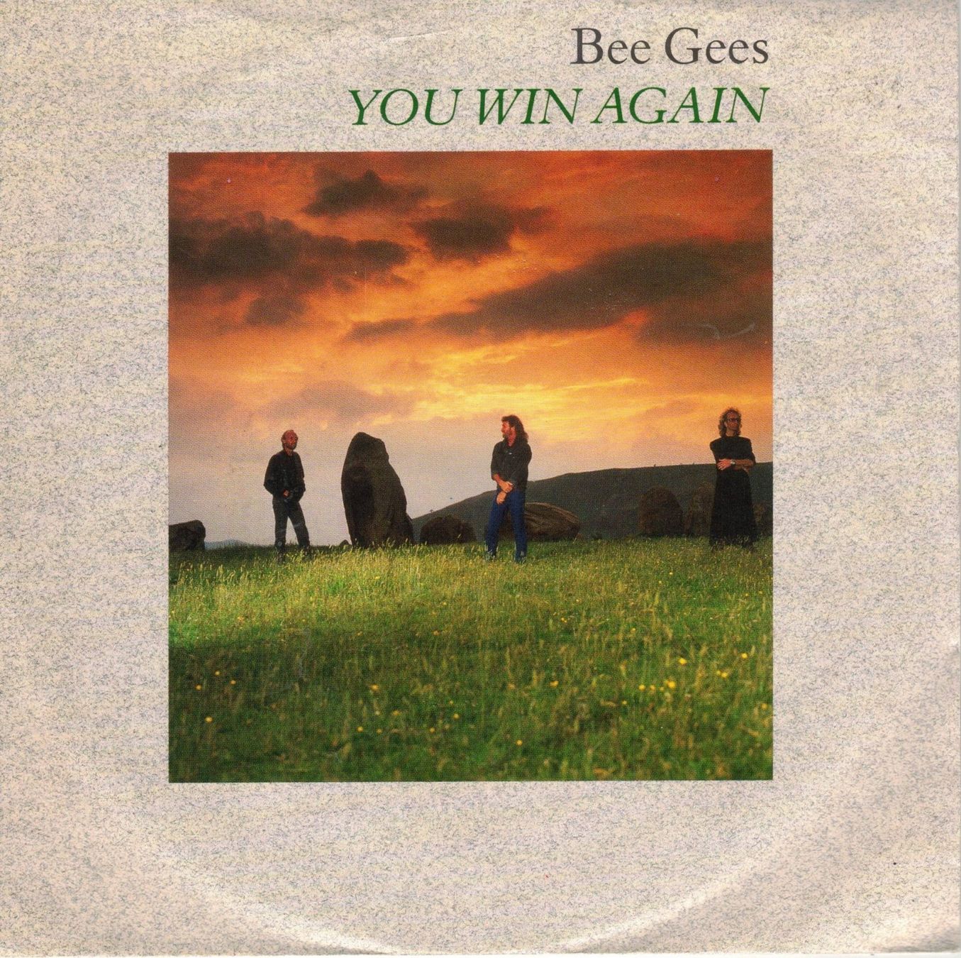 Dischi in vinile: Bee Gees  --  You win again  Single7 – Usato da Oberwil (Dägerlen) venduto da thealbum