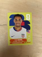 Panini USA 8