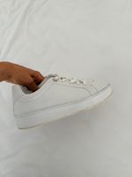 Loro Piana Schuhe 37