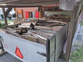 Brennholz 1 Meter Spälten