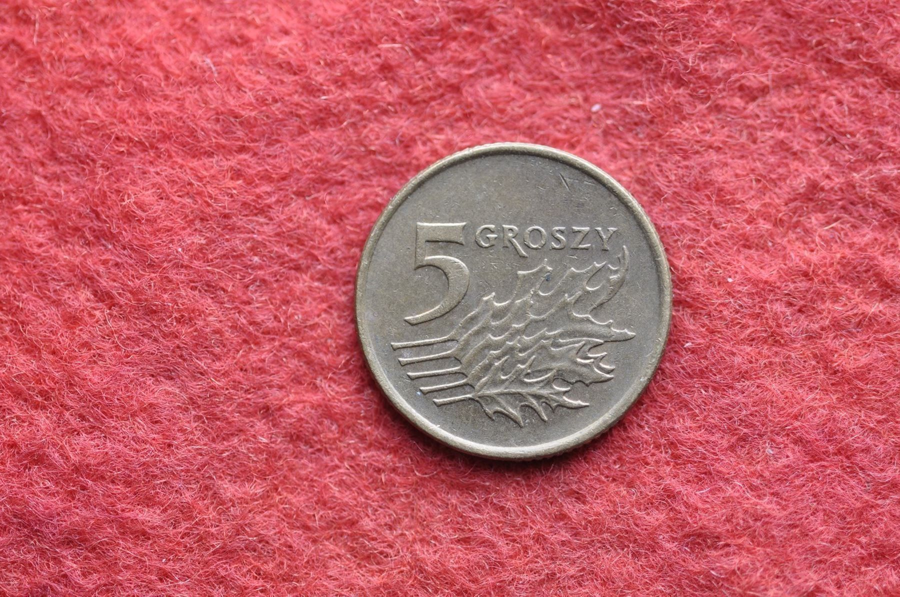 Alle Münzen: währung polen 5 groszy 1992 – Gebraucht aus Laupen BE von Gufi57 1