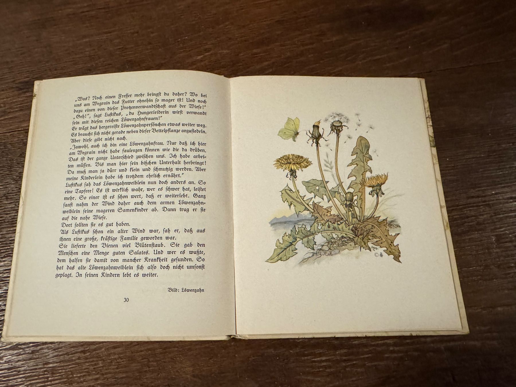 Bücher: Buch Die vom Wegrain Marga Müller E. Wenz-Dietor 1940 – Gebraucht aus Rifferswil von reb_jpx2 4