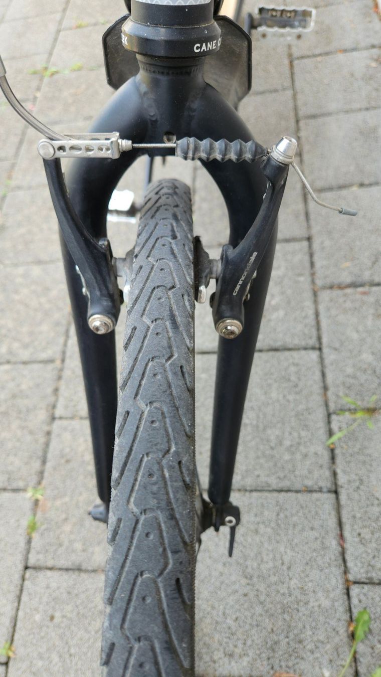 Cannondale Biciclette: Cannondale Bad Boy – Usato da Horgen venduto da mapenzi01 3