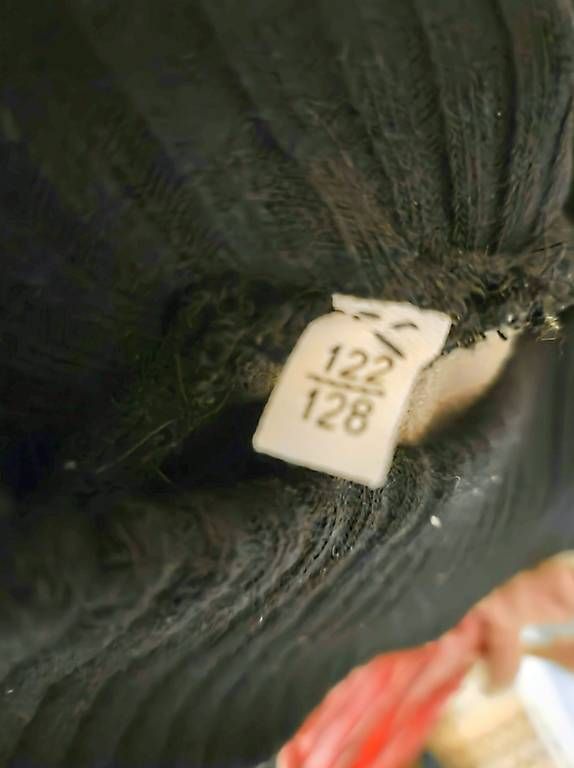 Pantaloni: Softshelhose – Usato da Tschiertschen venduto da tschen 1