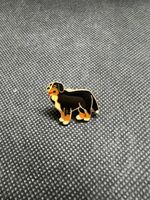 Anhaenger - Berner Sennenhund