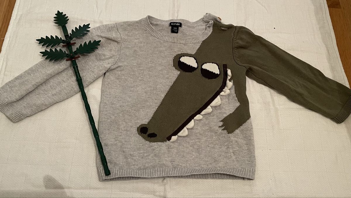 Pullover & Sweatshirts: Stylish Kids' Alligator Sweater – Gebraucht aus Zollikerberg von BS.SM