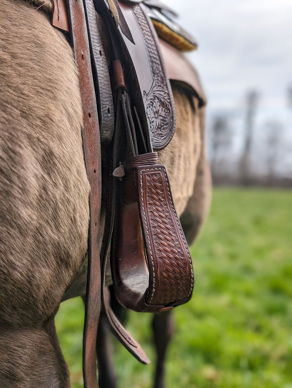 Sattel & Sattelzubehör: selle western/westernsattle crates 16" – Gebraucht aus Valangin von emi_ct9v 1