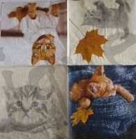 Serviette autumn cats 25x25 (t355) 2Stk.