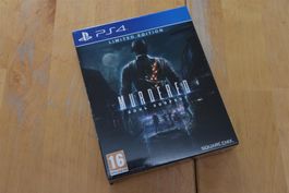 Murderer Soul Suspect (NEU)