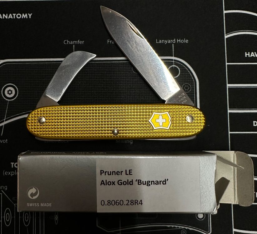 Bugnard victorinox best sale