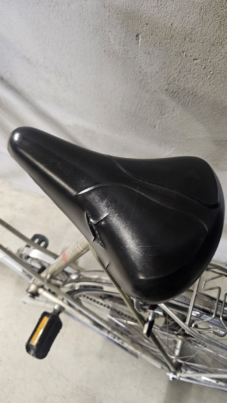 Vélos: Damenvelo Silber  – Défectueux à Scherz par gui_6q7l 2