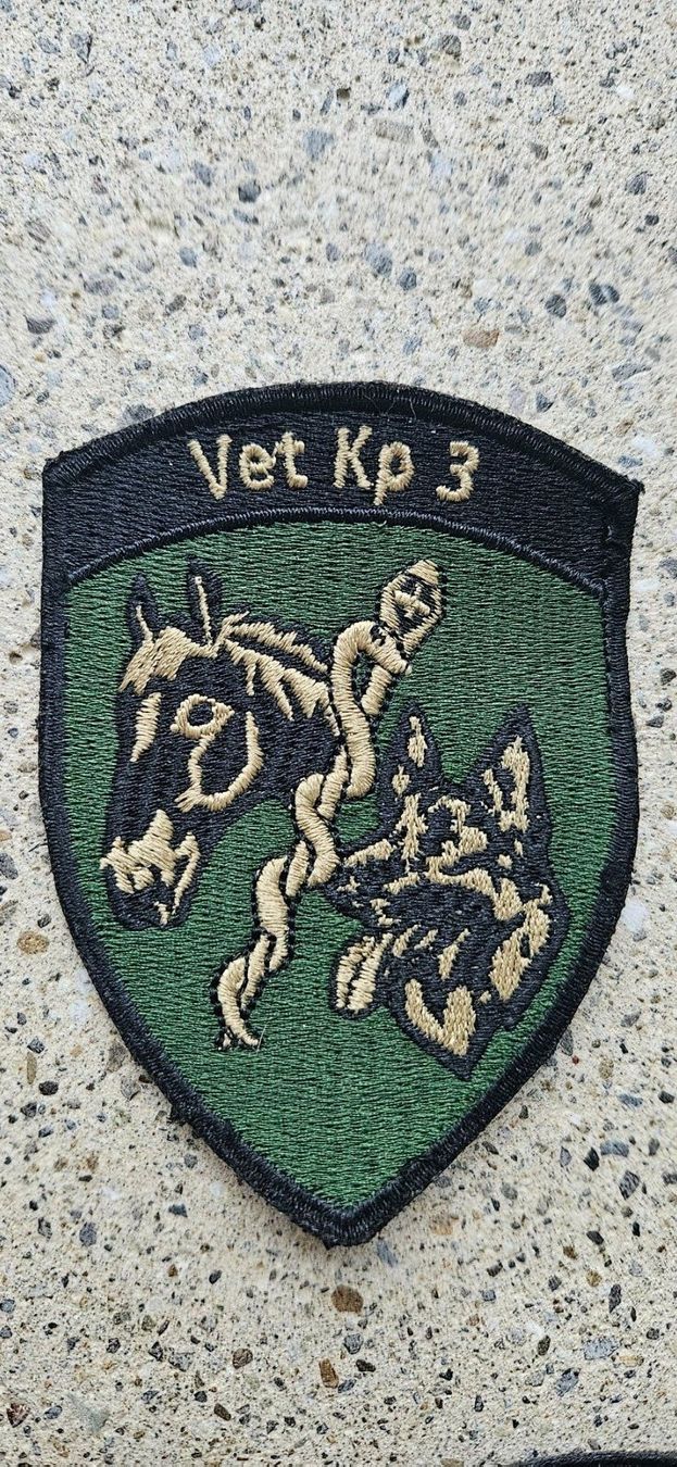 Schweizer Armee Placchette & Badge: *** Badge ohne Klett *** – Usato da Riedholz venduto da fr_sIruP