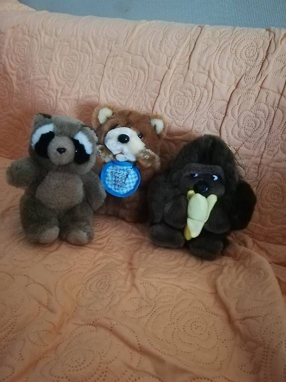 Spielzeuge: Peluches – Neu und originalverpackt aus La Sagne VD von bri_d6b5 3