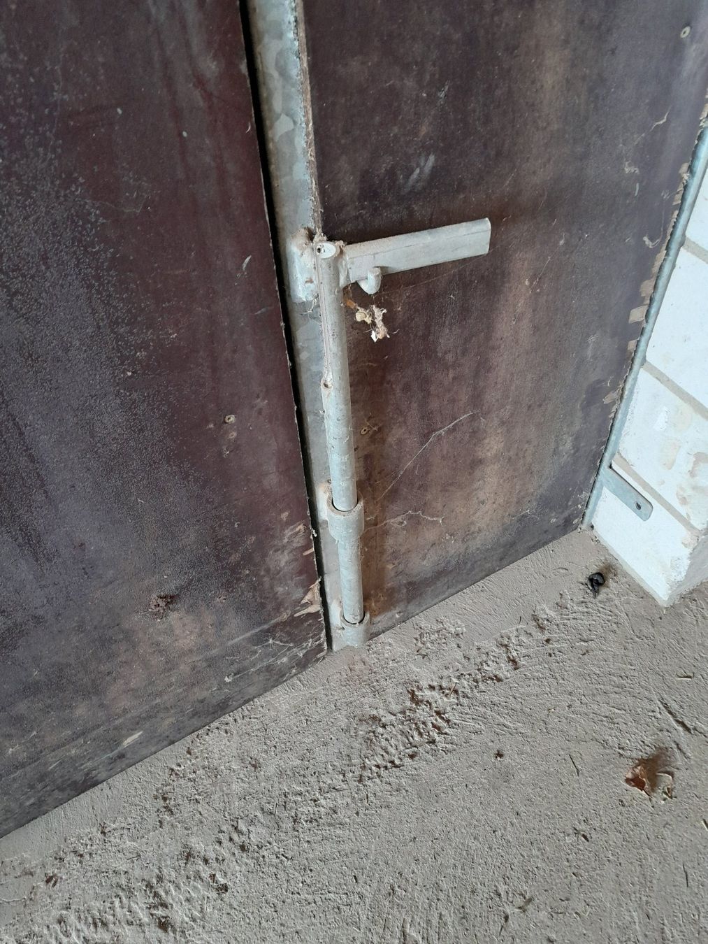 Porte: Massive 2-flüglige Tür – Usato da Utzenstorf venduto da Schleimi007 3
