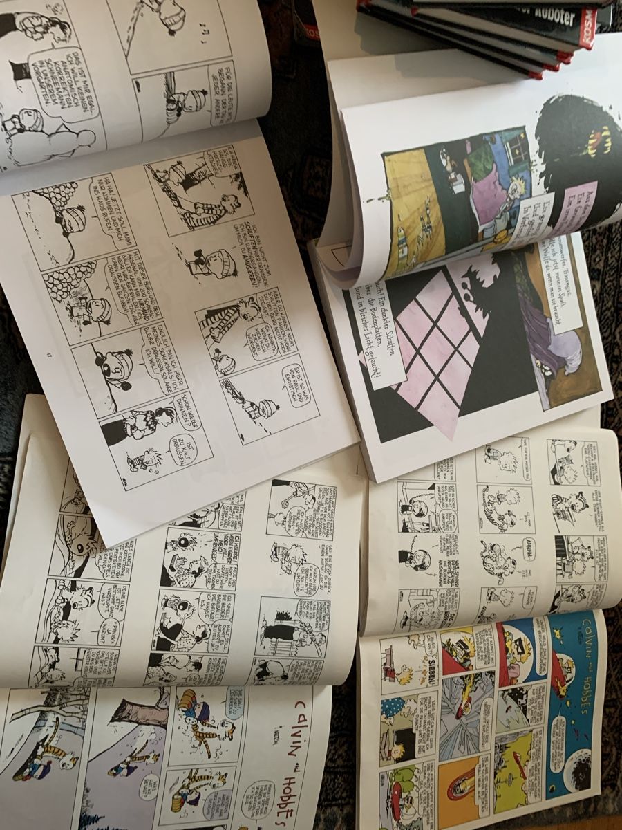 BD: CALVIN und HOBBES 5 Comics – D'occasion à Uster par bek_v2ct 2