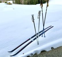 Langlaufski Fischer Track mit Adidas Bindung + Stöcke