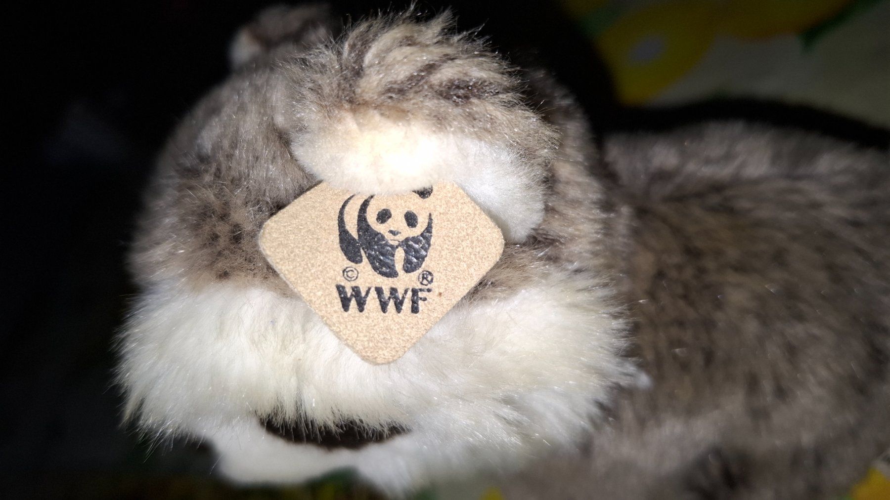 WWF Giocattoli: WWF Stofftier Waschbär – Usato da Plagne venduto da Reticulum01 3